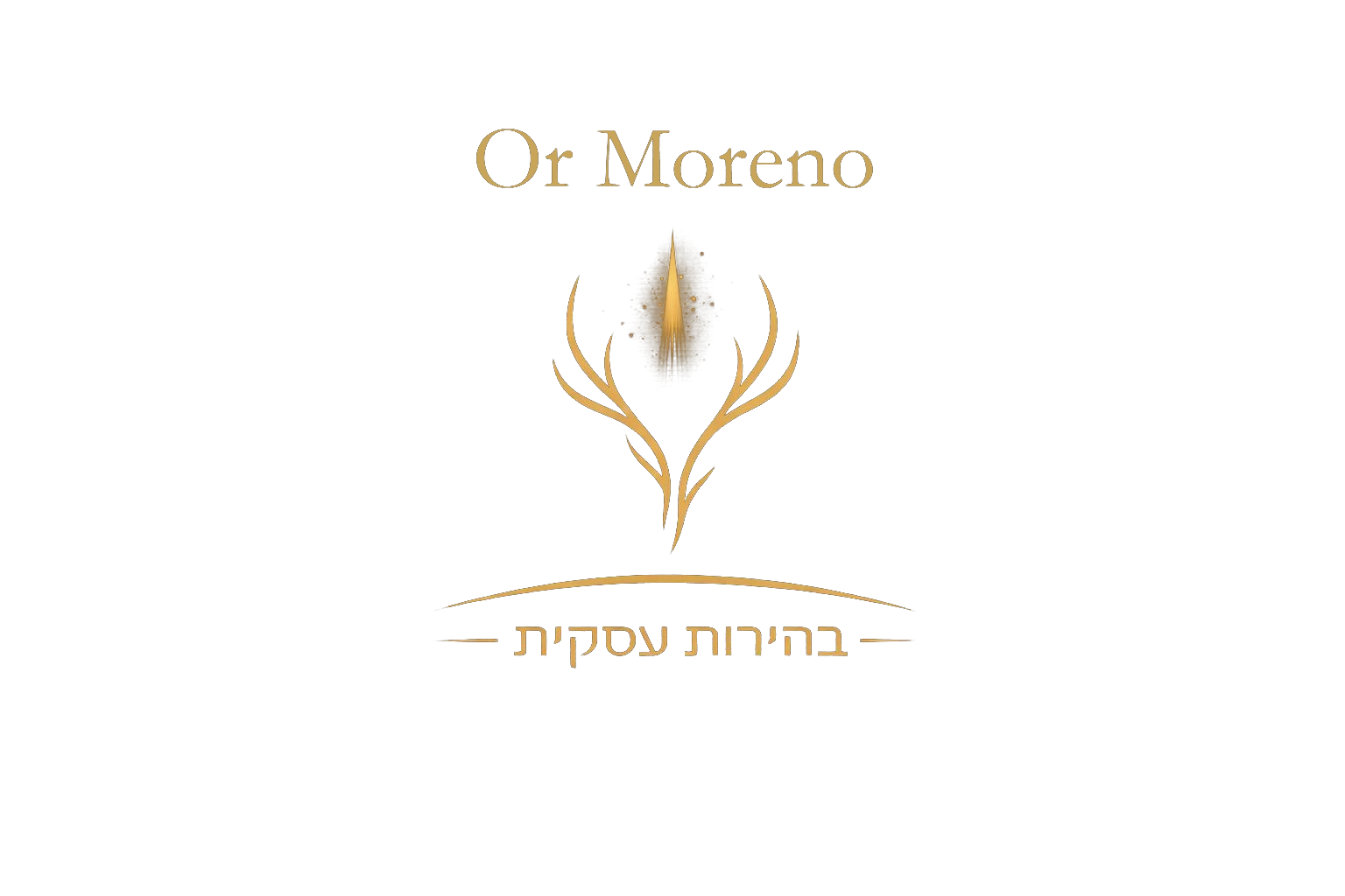 Or Moreno · בהירות עסקית