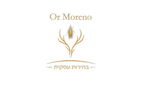 אור מורנו | בהירות עסקית